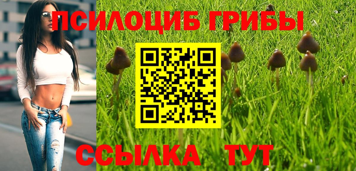 Заволжье  Галлюциногенные грибы прущие грибы  Вход с VPN 